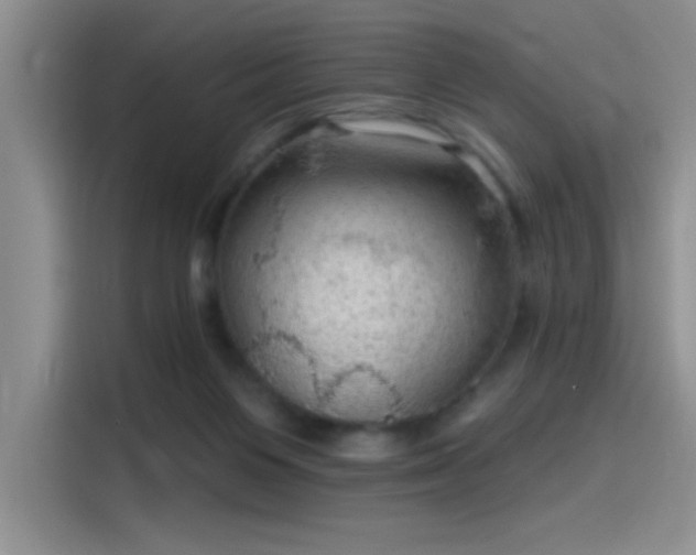 X0000115650119200911171450