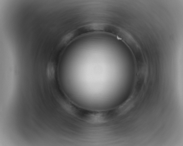 X0000115650120200911171450