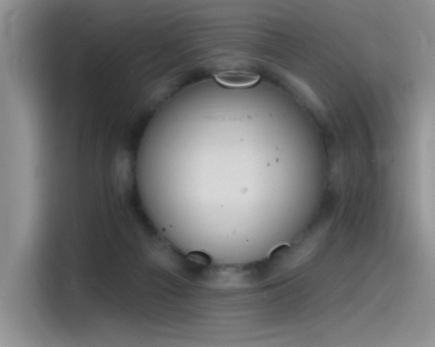 X0000115650121200911171450