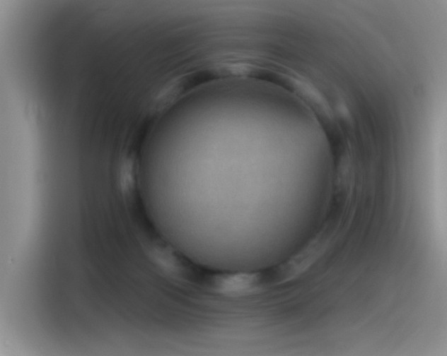 X0000115650122200911171450