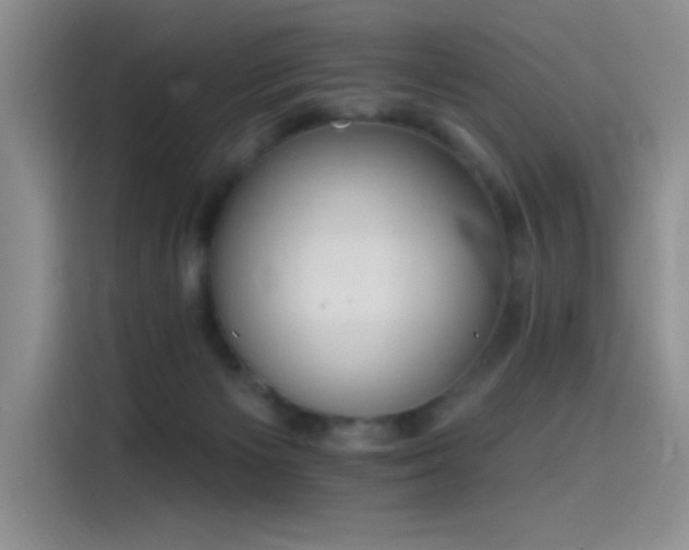 X0000115650125200911171450