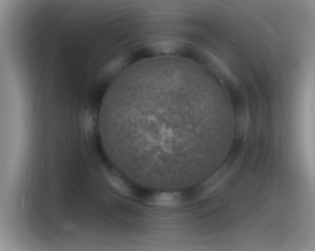 X0000115650126200911171450