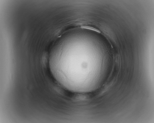 X0000115650127200911171450