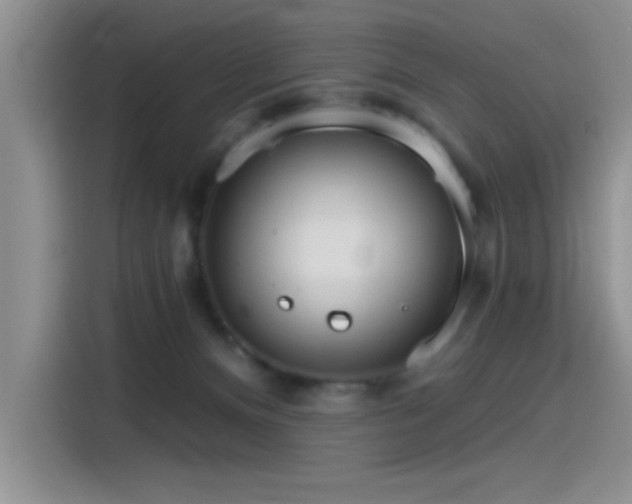 X0000115650128200911171450