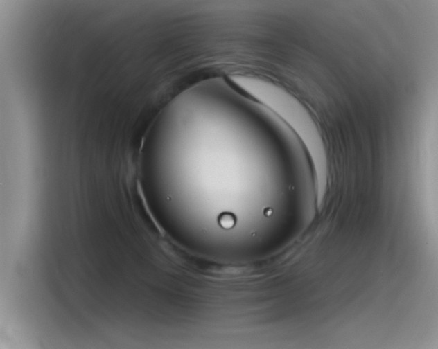 X0000115650129200911171450