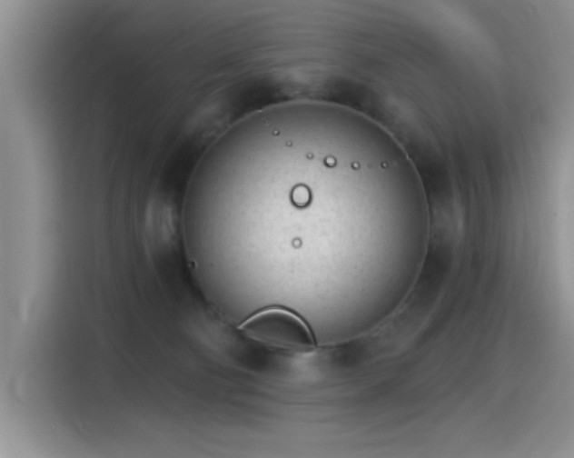 X0000115650130200911171450