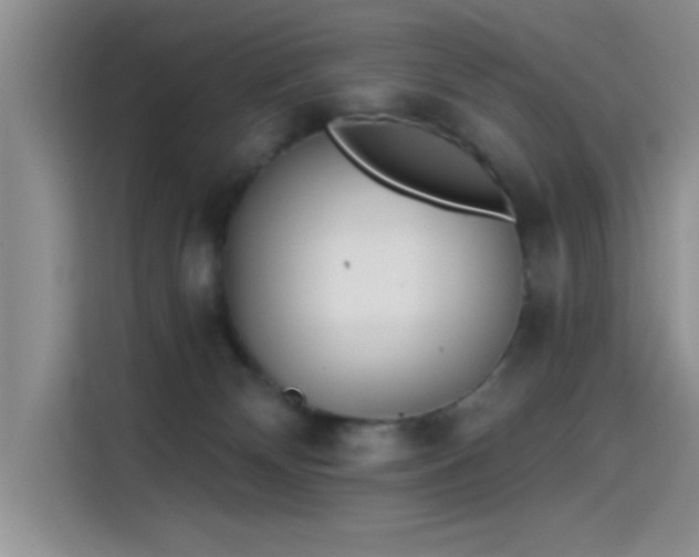 X0000115650132200911171450