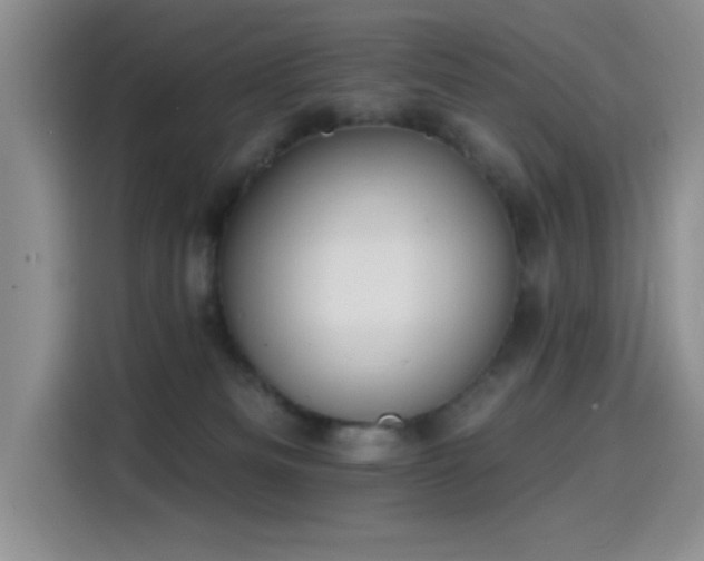 X0000115650133200911171450