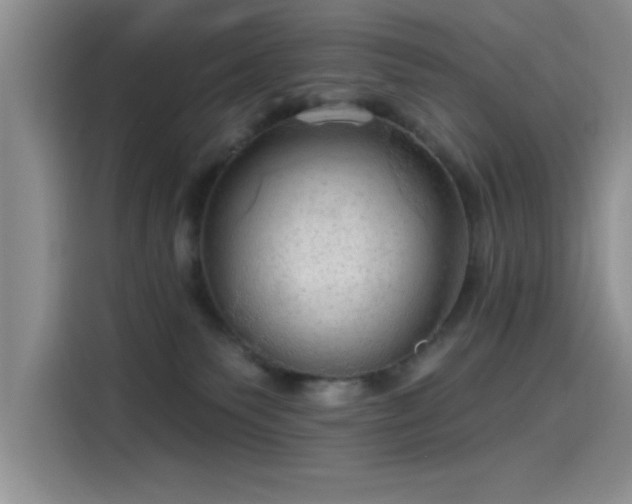 X0000115650135200911171450