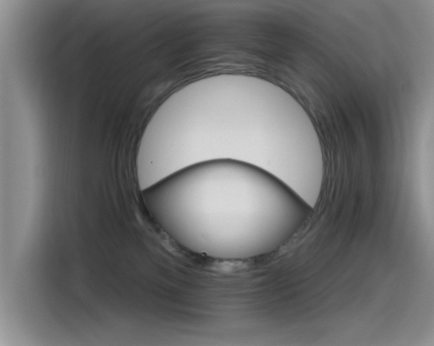 X0000115650137200911171450