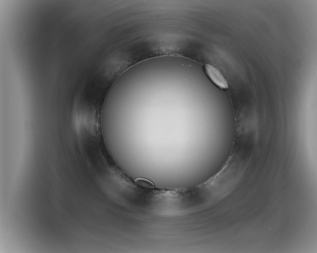 X0000115650140200911171450