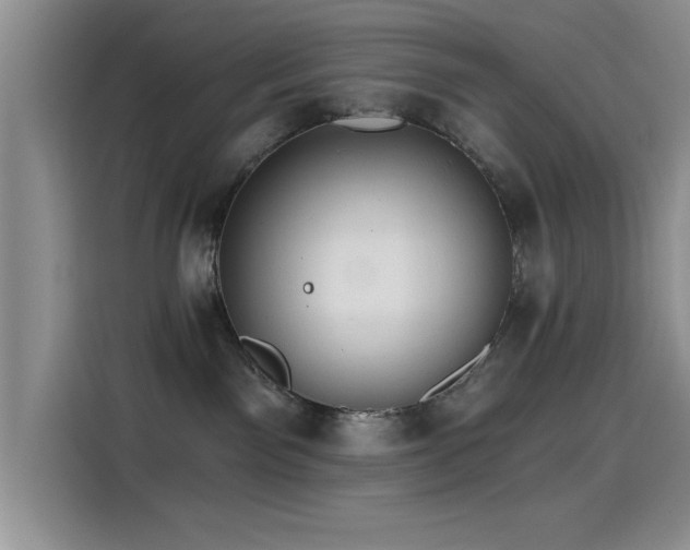 X0000115650141200911171450