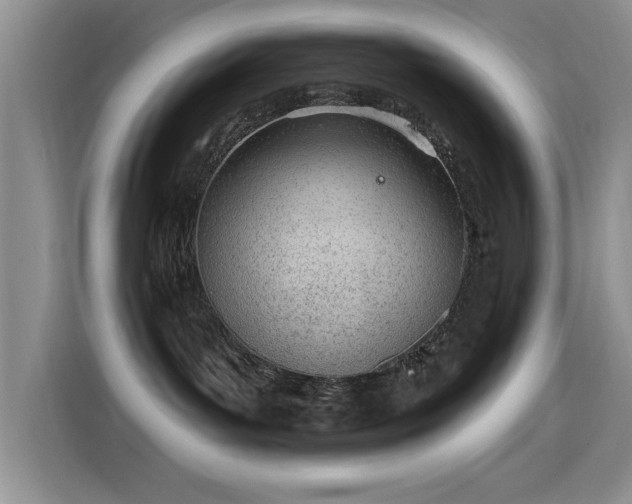 X0000115650143200911171450