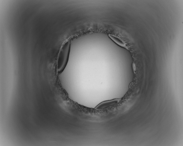 X0000115650144200911171450