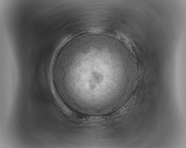 X0000115650145200911171449