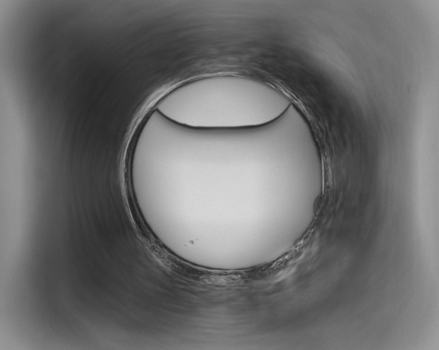 X0000115650147200911171449