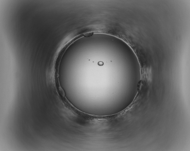 X0000115650150200911171449