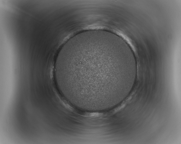 X0000115650153200911171449