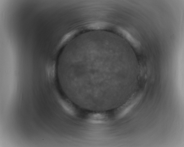 X0000115650163200911171449