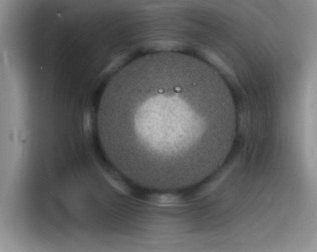 X0000115650165200911171449