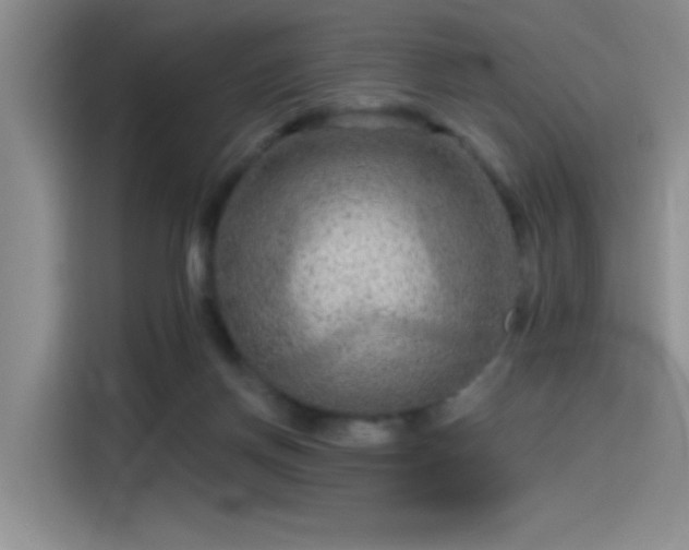 X0000115650166200911171449