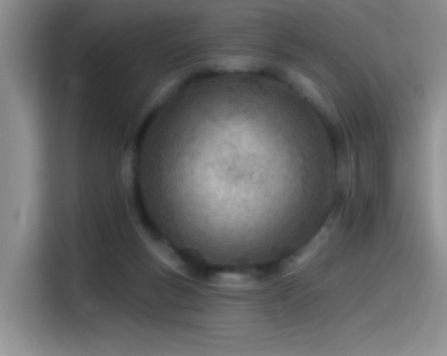 X0000115650167200911171449