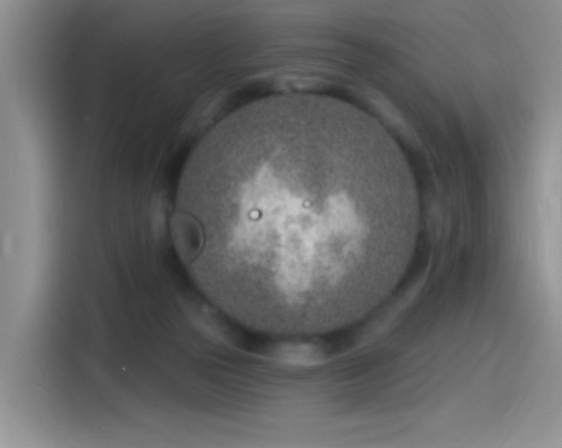 X0000115650169200911171449