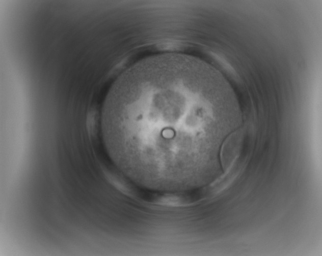 X0000115650171200911171449