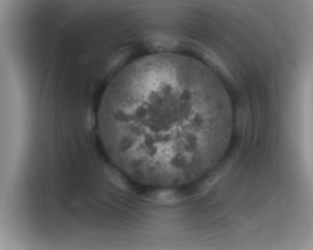 X0000115650173200911171449