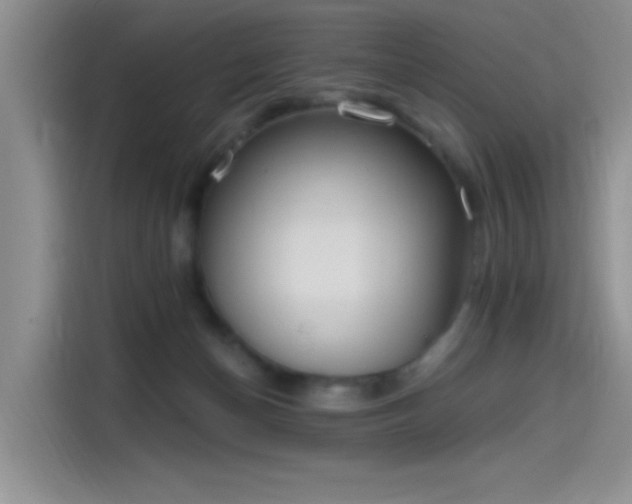 X0000115650174200911171450