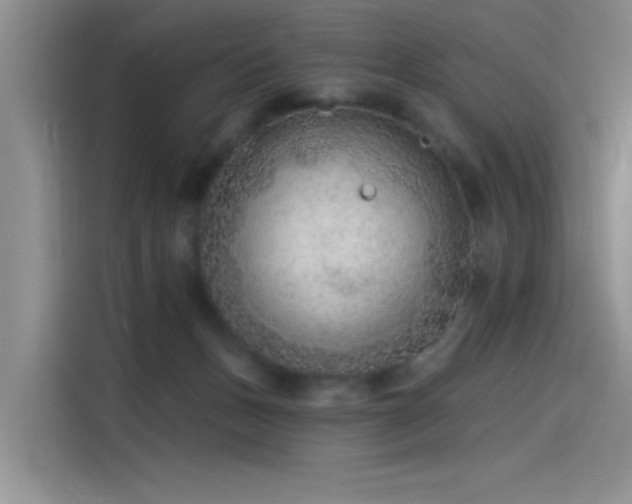 X0000115650175200911171450