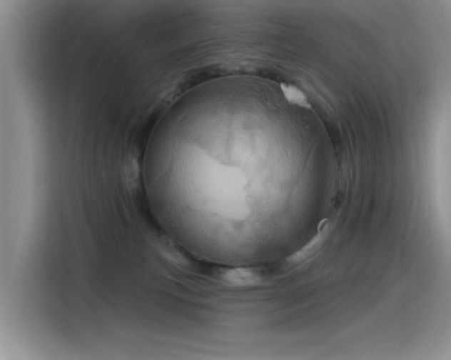 X0000115650183200911171450