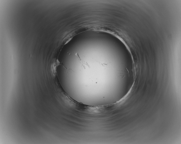 X0000115650190200911171450