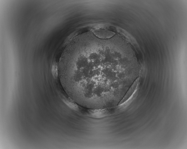 X0000115650191200911171450