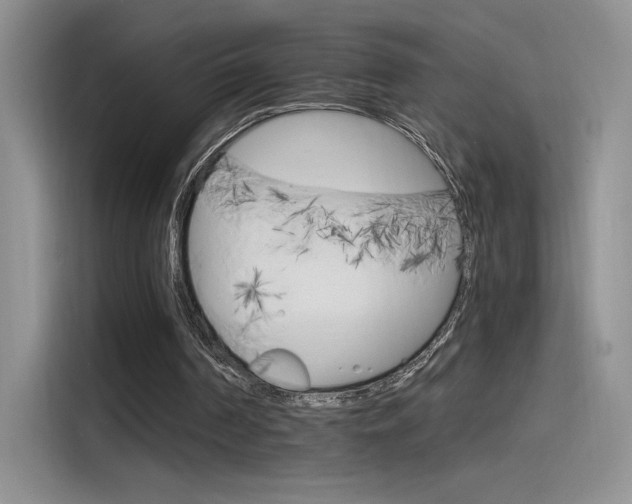 X0000115650194200911171449