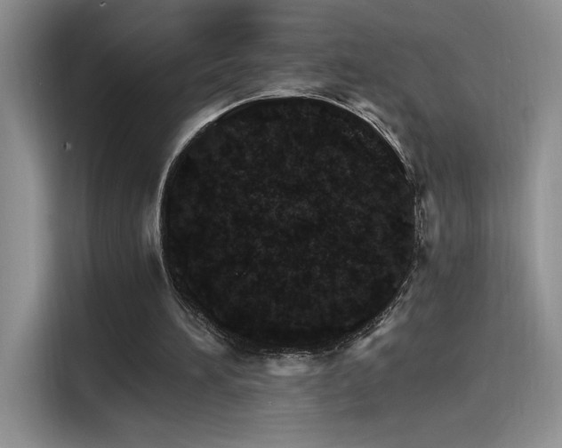 X0000115650196200911171449