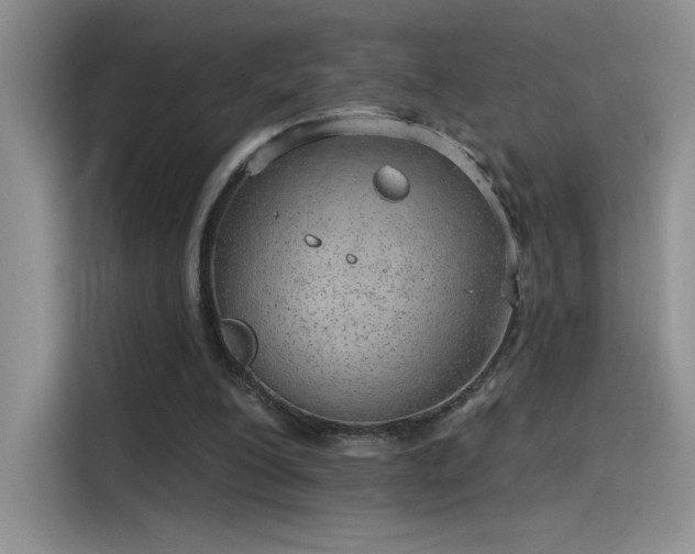 X0000115650200200911171449