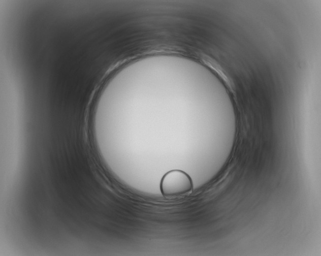 X0000115650203200911171449