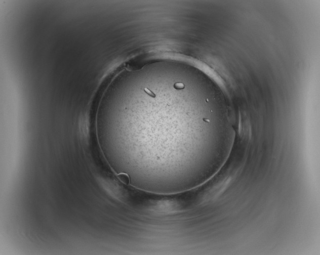 X0000115650204200911171449