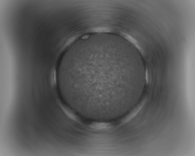 X0000115650205200911171449