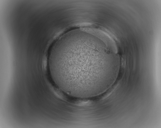 X0000115650206200911171449