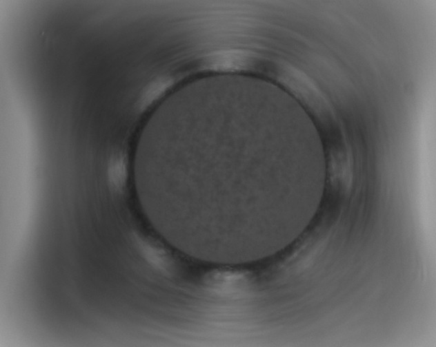 X0000115650208200911171449