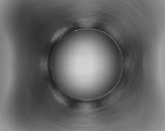 X0000115650209200911171449