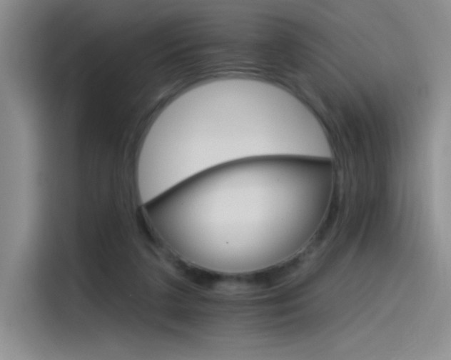 X0000115650211200911171449