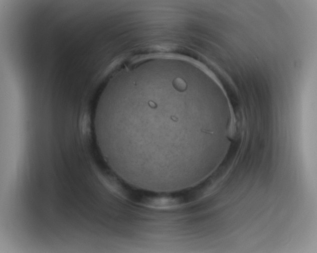 X0000115650212200911171449