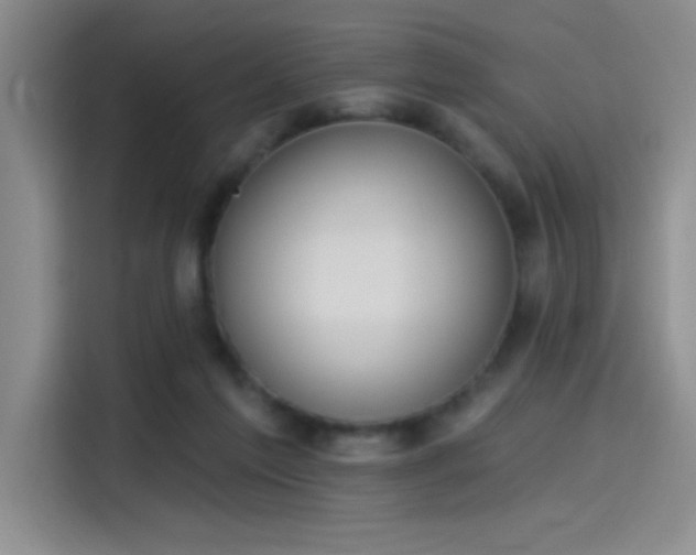 X0000115650213200911171449