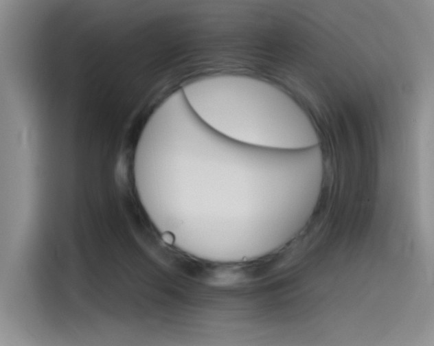 X0000115650214200911171449