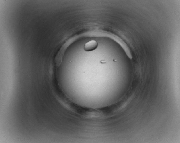 X0000115650215200911171449