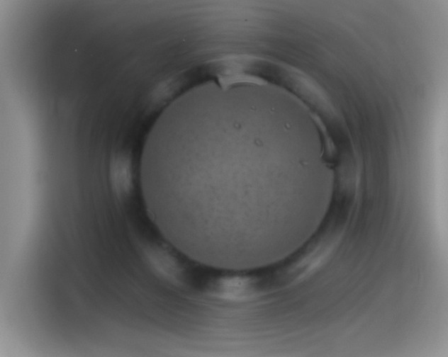 X0000115650216200911171449