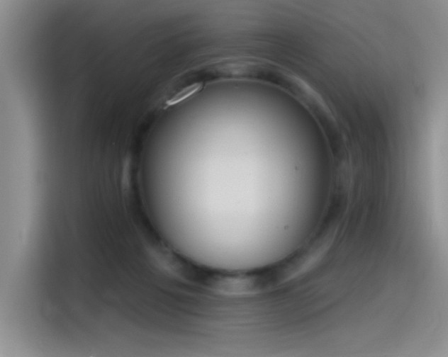 X0000115650217200911171449